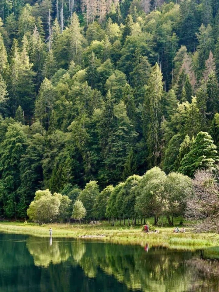 World Earth Day 2025: 10 eco-friendly destinations to visit