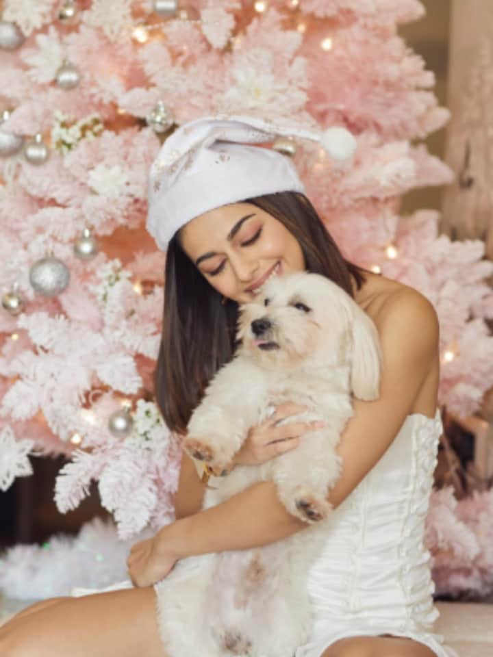 Pets Day Special! Celebrating a Day for Furry Companions With Khushi Kapoor, Radhikka Madan, Veer Pahariya