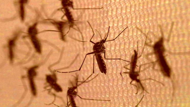 From ancient mummies to drug resistance: 10 facts about Malaria you need to know